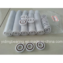 More Corrosion Resistance 3/8′′ Bore Glass Ball Plastic Ball Bearing R8a